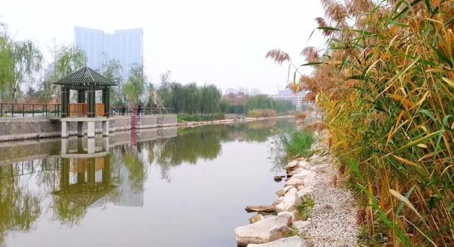 菏泽：比网红城市更上头的宝藏古城