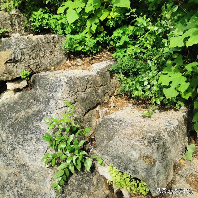 &056.炎炎烈日哪里去--张夏洞府天