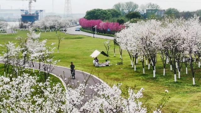 走近美丽沿江公路看沿江公路