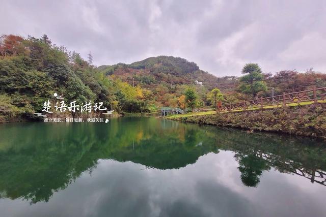 宁波余姚的夫妻银杏又火了，树边的溪上休闲空间超美，好拍又好玩