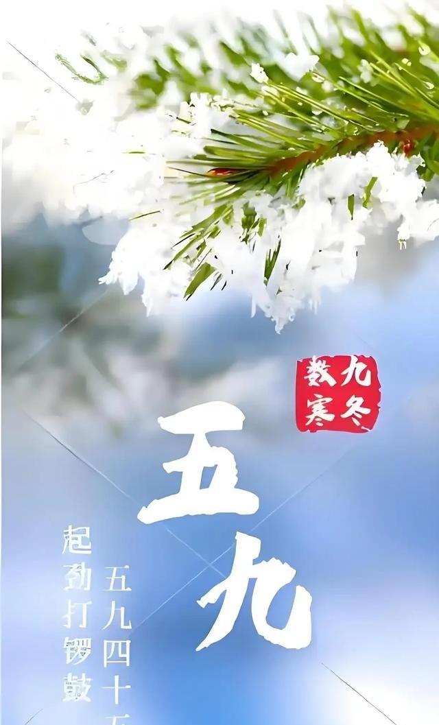 “四九”马上结束	，五九还会冷多久？啥时候能回暖？答案来了