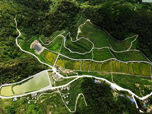 【风景这边独好】如莱山居：藏于金华山间的诗意秘境
