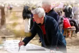 梨花树下听古筝，这场春日雅集错过再等一年！图片