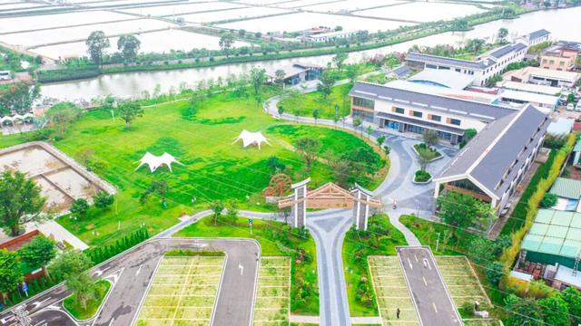 新线路！金湾重磅发布