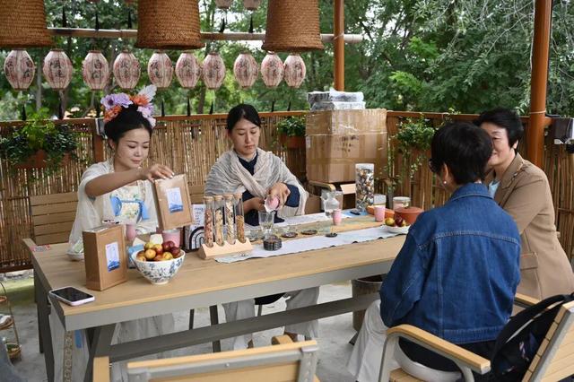 “齐风青韵·山居生活”凤凰引民宿菊花荟暨开村一周年活动成功举办