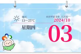 注意！进服务区必看图片