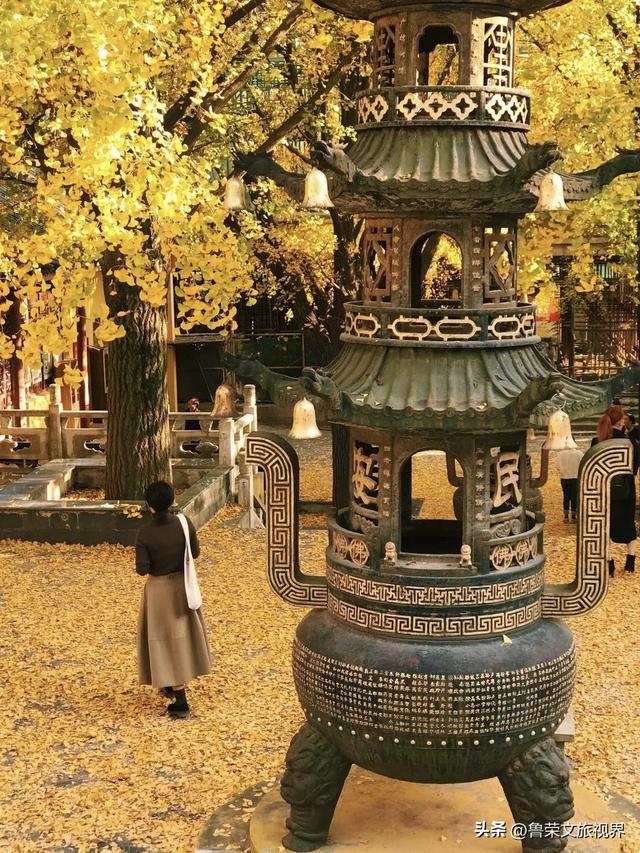 镇江的秋日才是真绝色，三山染彩、古街流韵，连空气都带醋香
