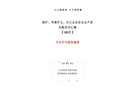 三管三必须！ 煤矿 非煤矿山 化工企业安全生产责任制范本汇编180页图片