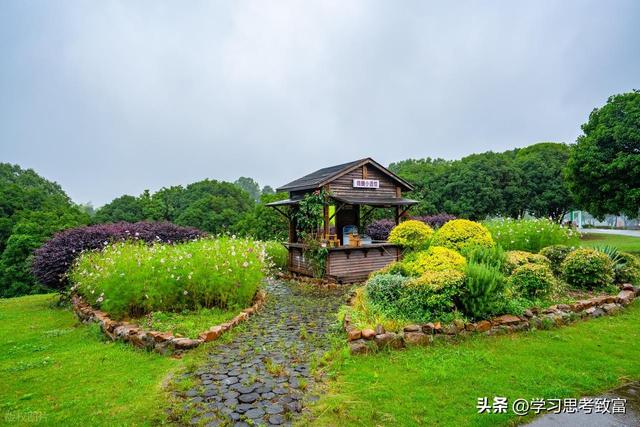 未来十年黄金赛道揭秘：4 大领域藏着普通人的财富跃迁机会