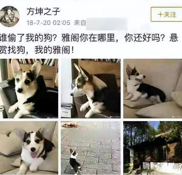 70岁晚节不保！袁立不再隐瞒，张国立丑闻曝光，该慌的不止李红