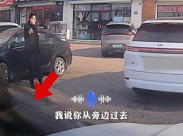 河北女子挪车打人社死！警方立案，嚣张连累车企，坐牢也难辞其咎