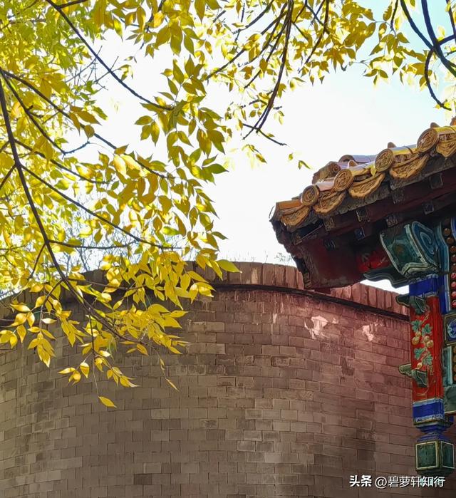 北京秋日漫游：五四大街-成办餐厅-北海公园
