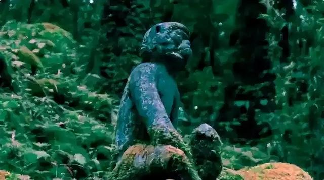 解放军在云南原始森林，发现一群男女，他们住草棚靠野果捕猎为生