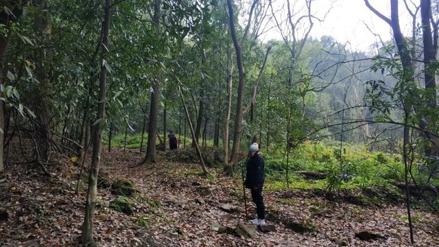 重庆南山有一座荒废庄院，曾是停放棺材的地方，胆小的人不敢靠近