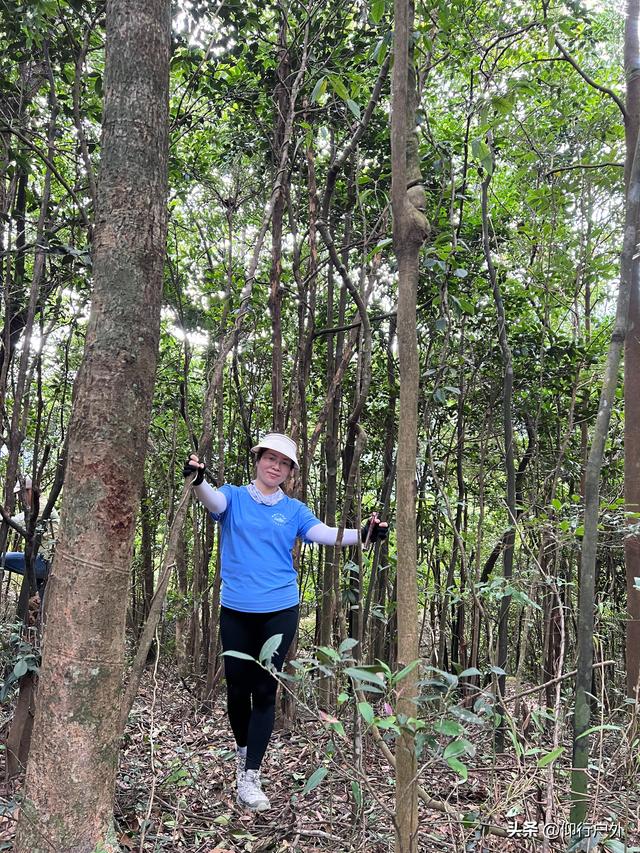 揭西猴面石徒步登山