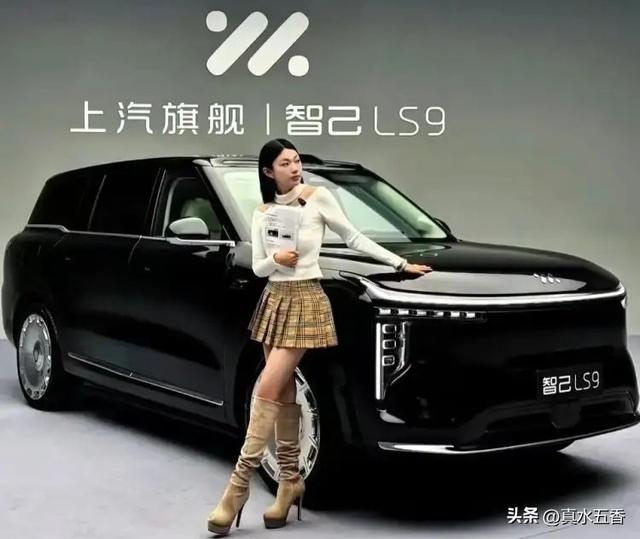 靓车旁的抓拍：《各美其美》