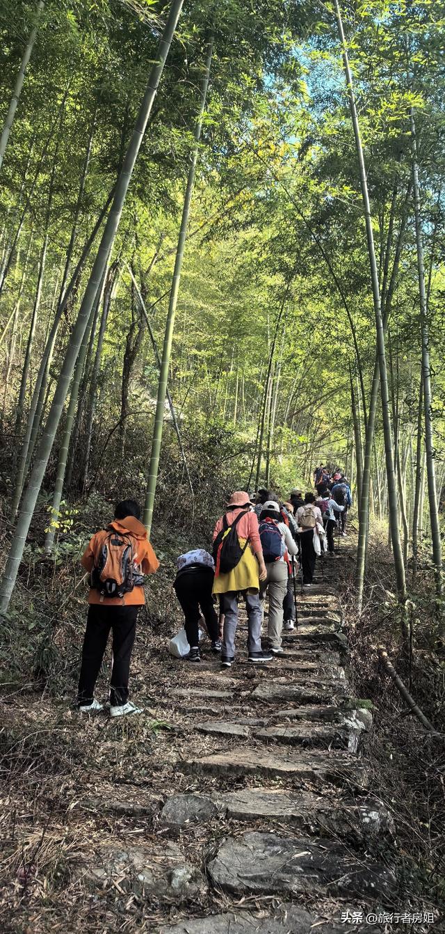 徒步奉化大雷山，古村、古道、梯田、秋景全部包揽