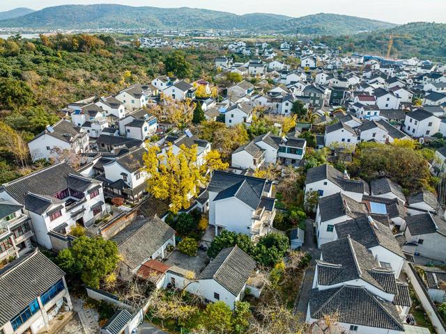 苏州银杏黄了！道前街虎丘之外，这3个地方人少免费，壮观又诗意