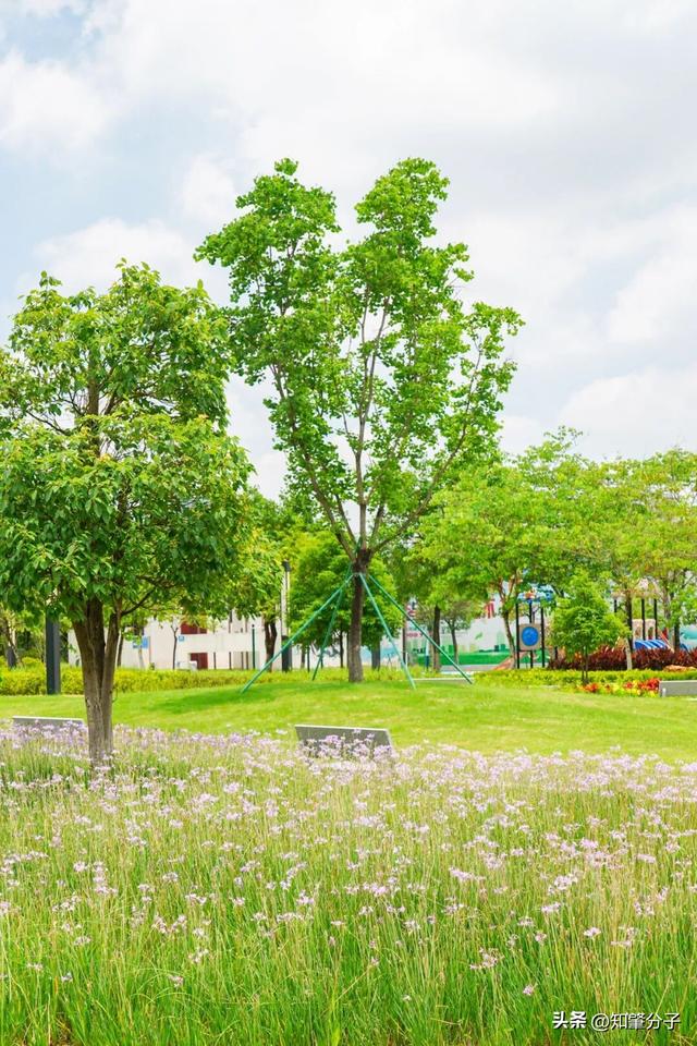 逃离城市热浪！东莞这个秘密花园藏不住了