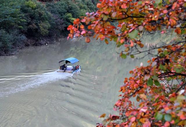 不到西坡，怎知秋色如许？