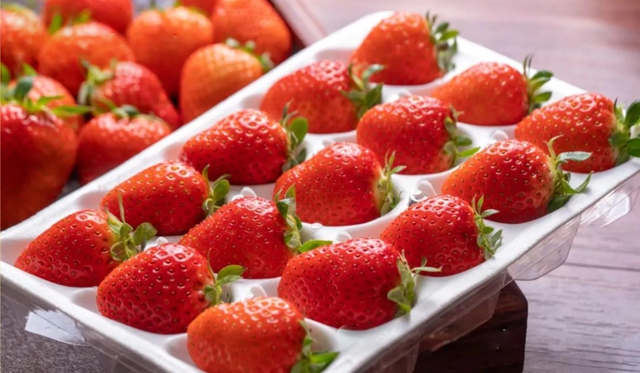 游在鹰潭 | 周末采摘指南！甘蔗清甜、草莓香甜，限定甜蜜等你来【全球学子嘉游赣 奇绝鹰潭逍遥游】