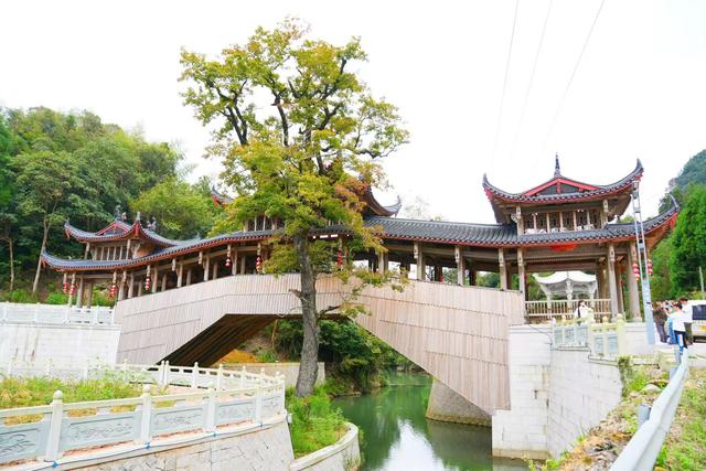 盘点我去过浙江泰顺的五个绝美地，比国外还美，知道的游客却很少