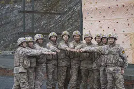 春华秋实，时光见证2024年的收获图片