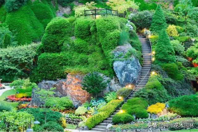 从矿坑废墟到园艺传奇：布查特花园华丽蝶变的百年传奇