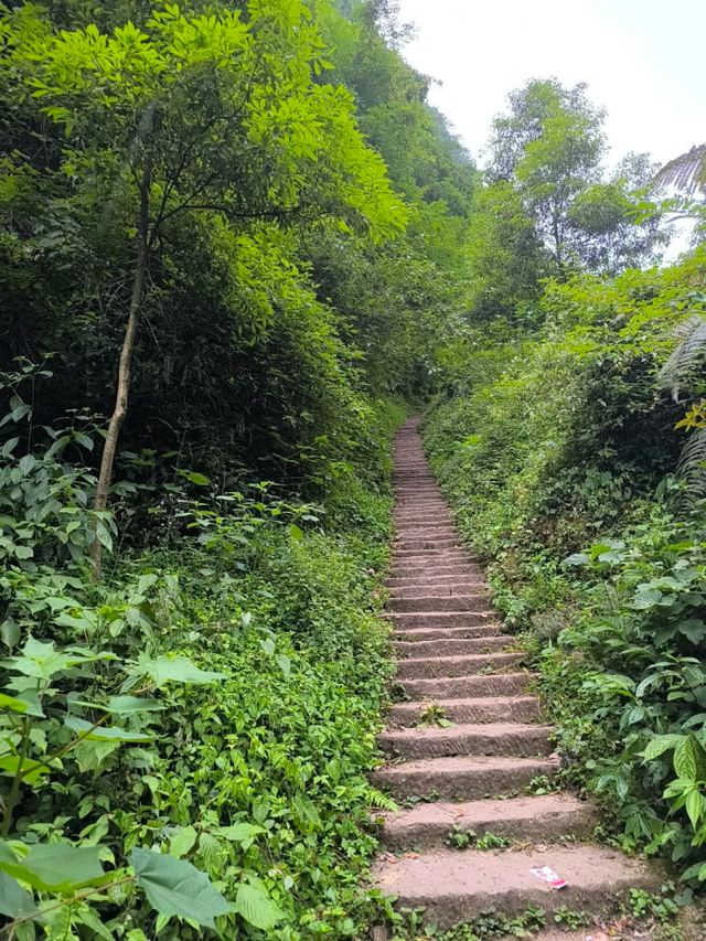 闯入青城山秘境！人少景美适合亲子徒步，还有成都最贵斋饭50元