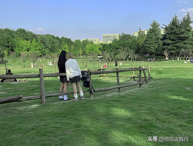 成都最美拍照公园，城市中的草原牧场，不要门票，地铁公交直达！