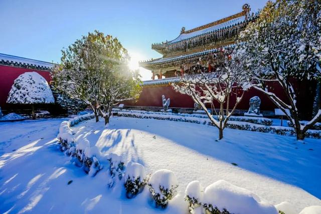 全网都在等的沈阳故宫雪景，来了→