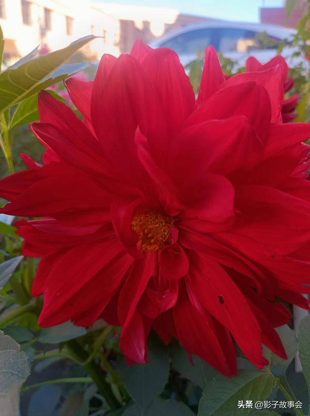 二十万，是母亲用半生琐碎攒成的给我的底气