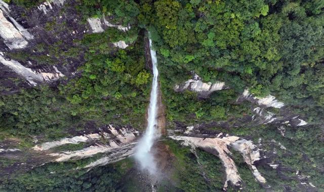 守护生态秘境——走进徽县三滩森林公园