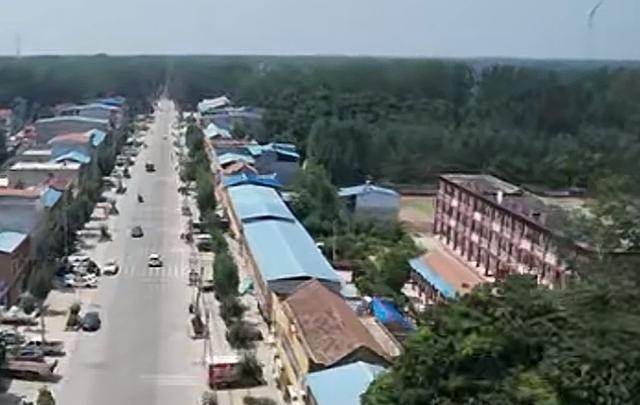 魅力曹县楼庄镇