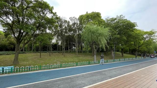 6.8km江岸秘境，去通江达海的宝山滨江，享受Chill生活
