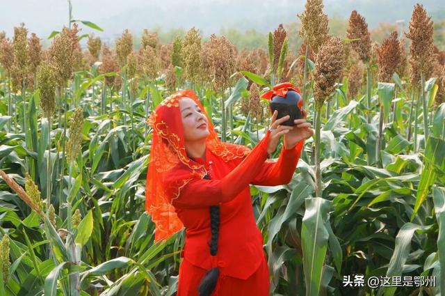 这里是鄂州最High的地方！