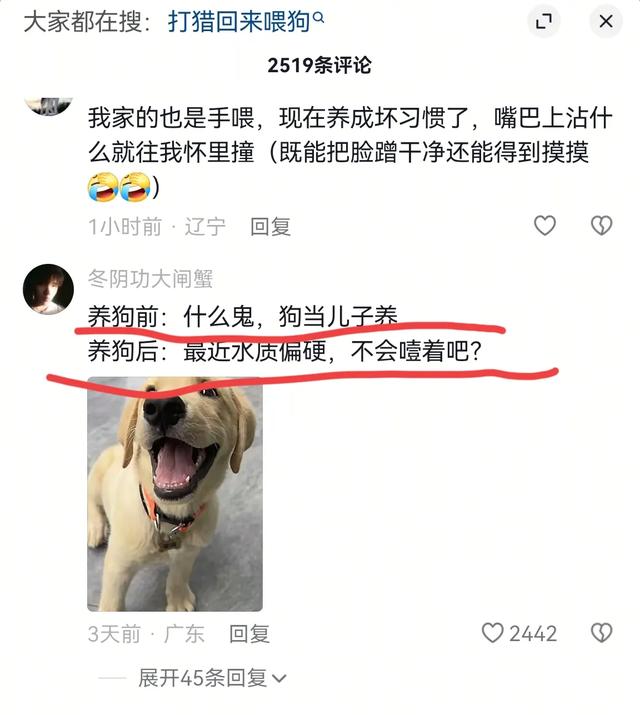 笑死了！女子喂烤肠店老板的狗吃烤肠，老板：那不干净，别给它吃