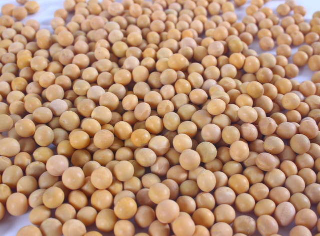 超2800亿大单，特朗普收到大礼！美高官为华发声：中国人说话算数