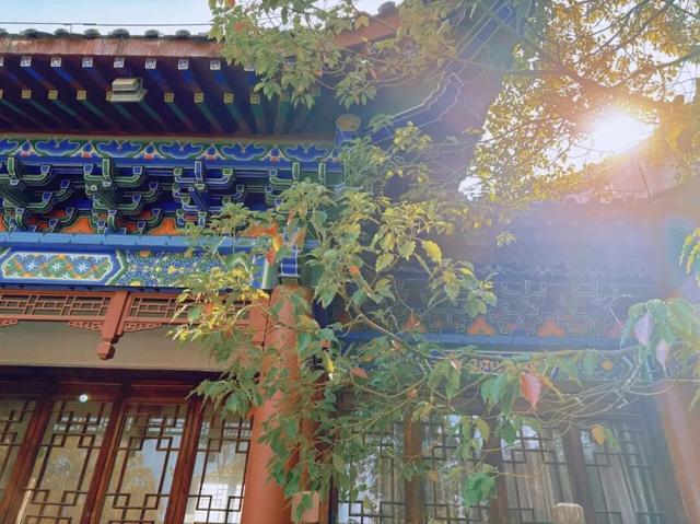 如果你要写太湖的秋天……
