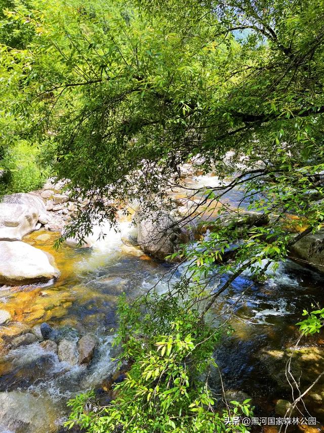 夏季避暑有“凉”方,黑河山水邀你共赴清凉盛宴!