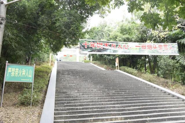 怀集，森林防火不松劲！