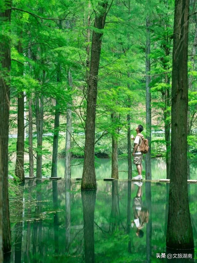 全部免费!解锁长沙10条山林徒步路线