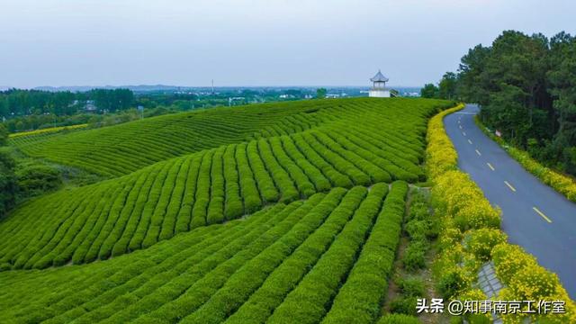 是时候，去趟高淳！