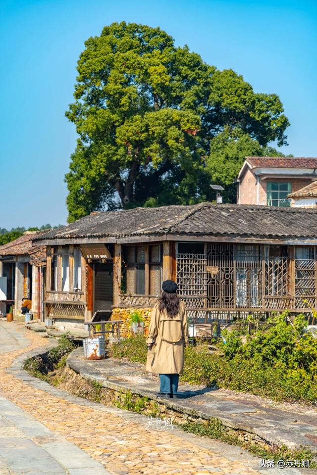 不被流量裹挟的冷门村落！在江西，“古法过冬”的体验感真稀罕