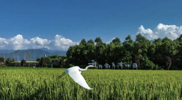 这届年轻人，为何偏爱“深度体验游”？