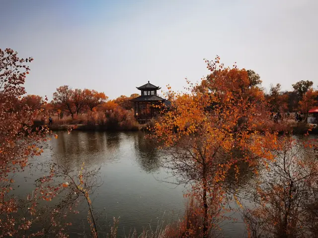 瞎球转2025之二——生而千年不死，死而千年不倒，倒而千年不朽