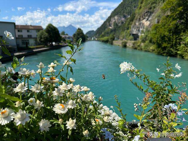 欧游杂记（3）‖ 乘“黄金列车”到因特拉肯：大美瑞士风光之旅