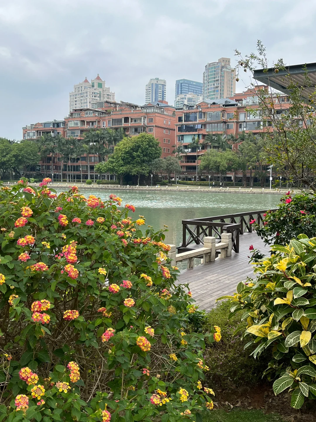 亲自去了才知道，泉州和厦门根本不在一个赛道上，没法拿出来比！