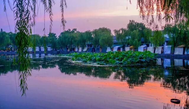 董宇辉向世界推荐，“请花几天时间去山东”！