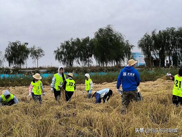 东河区：文商旅深度融合 假日经济持续升温